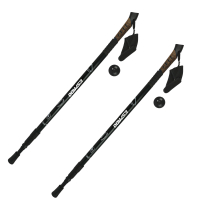 Палки для скандинавской ходьбы с ручкой, 3 секции, пробка Espado